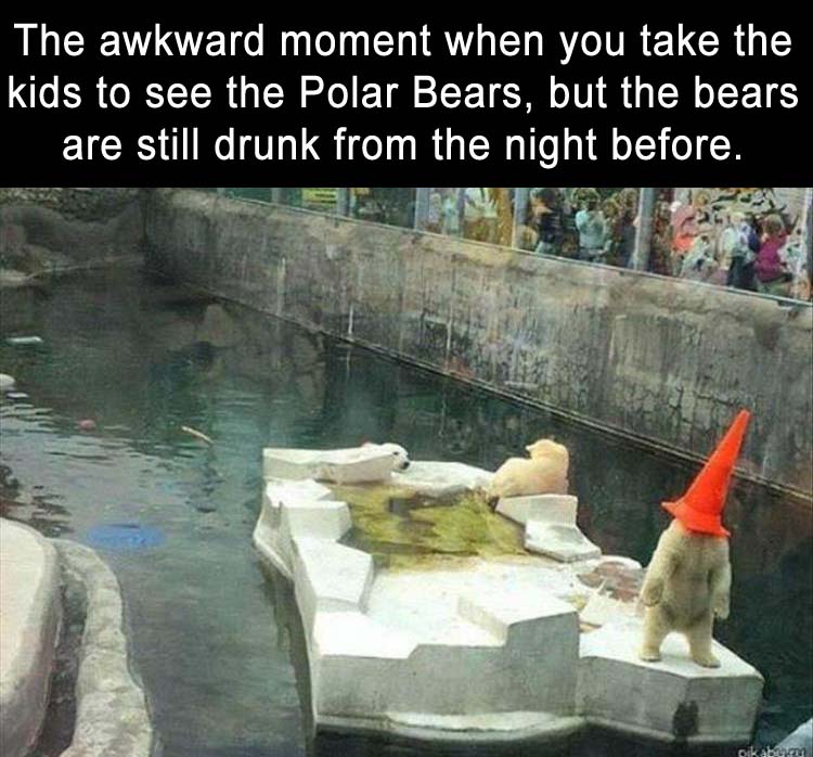 PolarBears