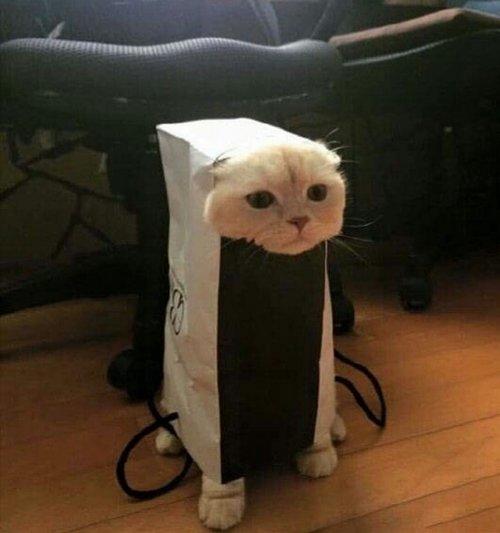 Popcornistalle