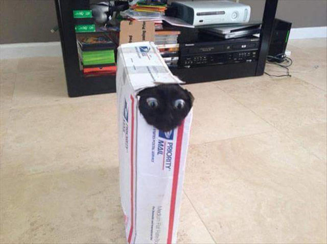PriorityMail