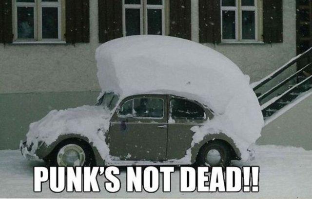 Punks