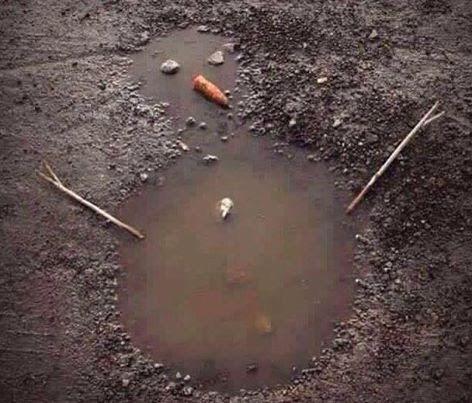 Schneemanngeschmolzen