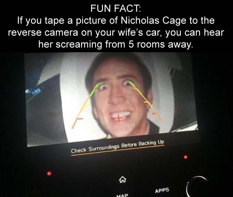 ScreamingWife