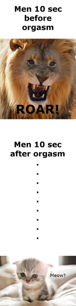 Sexismus