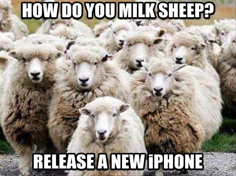 SheepMilk