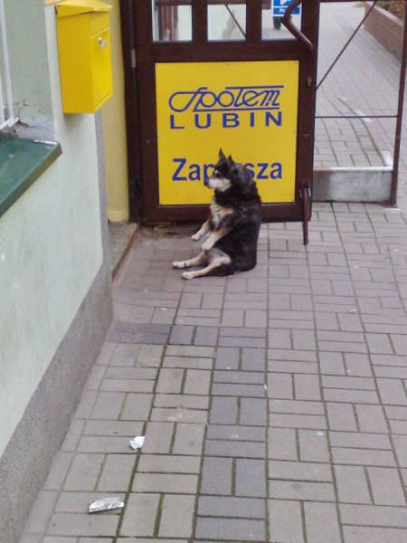 sitz