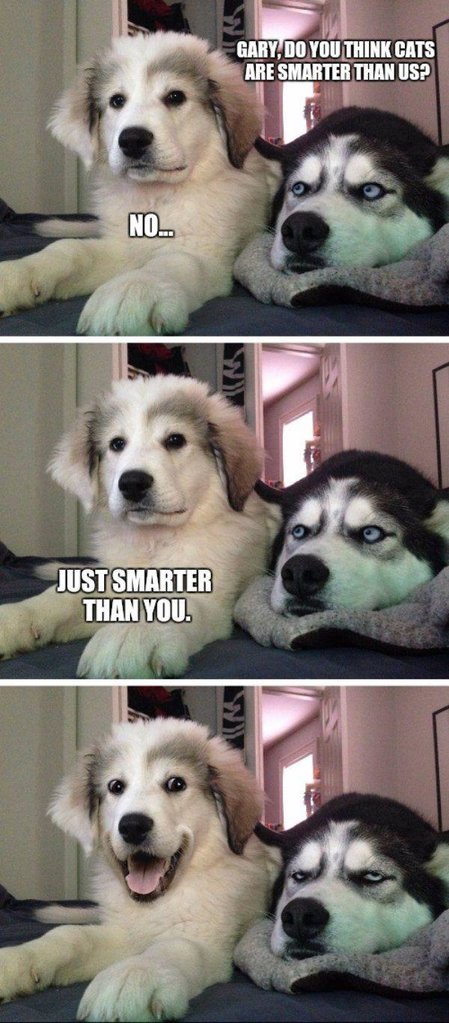 Smarter