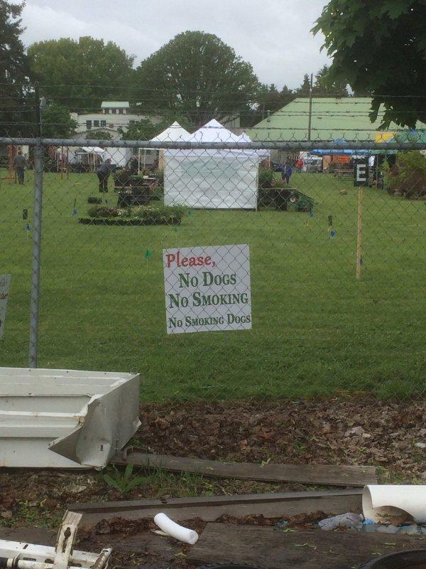 SmokingDogs