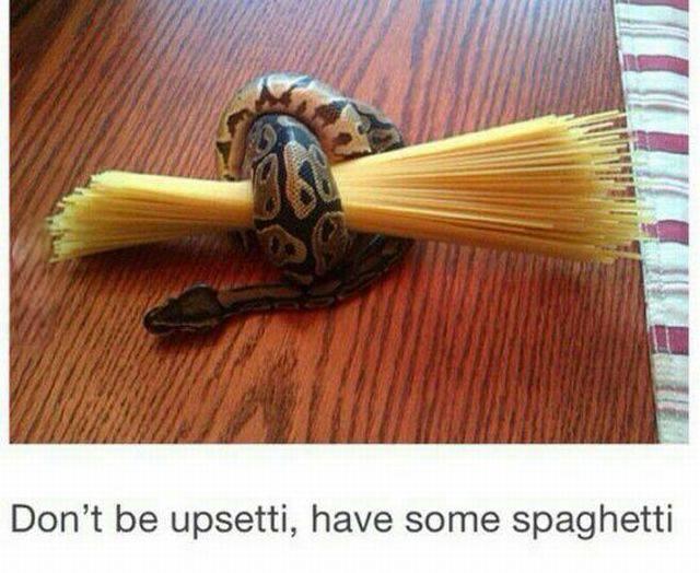 Spaghetti