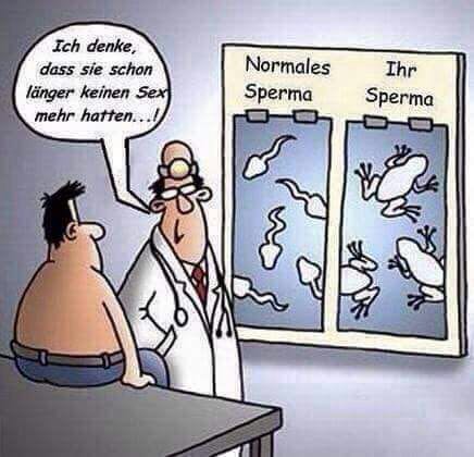Spermien