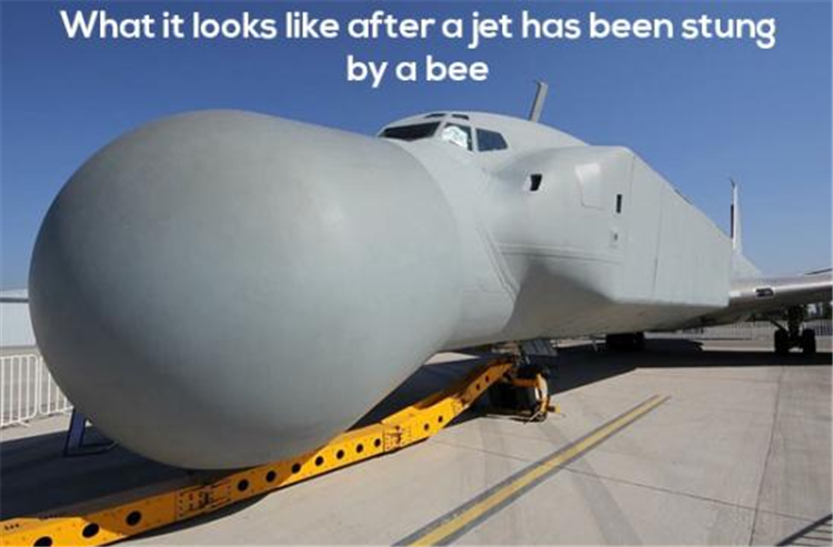 StungJet