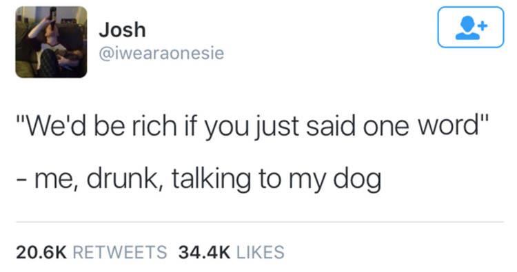 TalkingDog