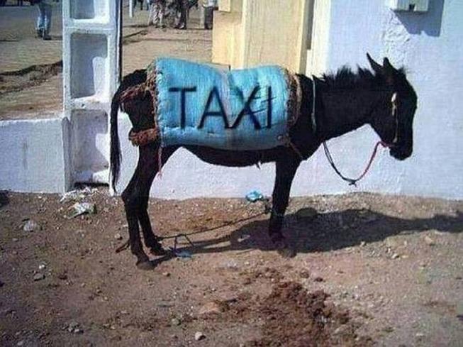 Taxi