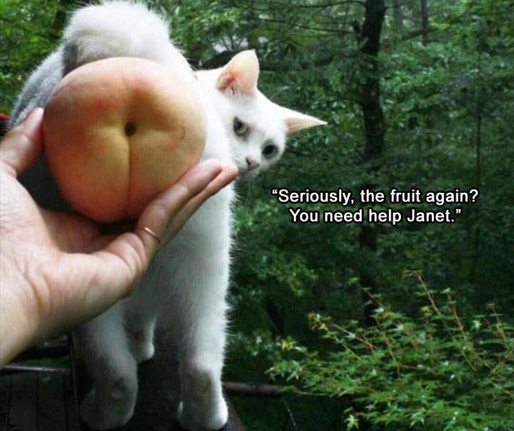 TheFruitAgain