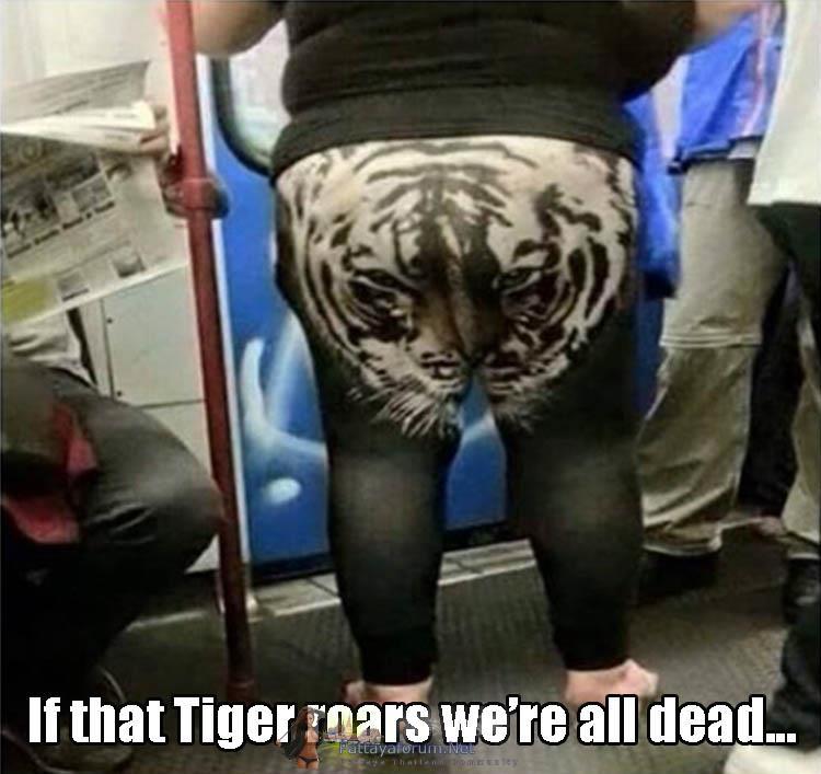 TigerRoar