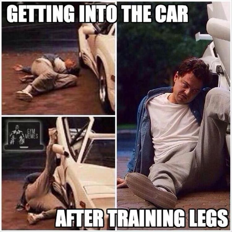 Training