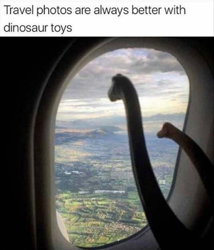 TravelDino