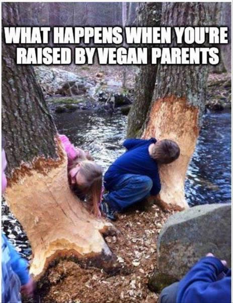 Veganereltern