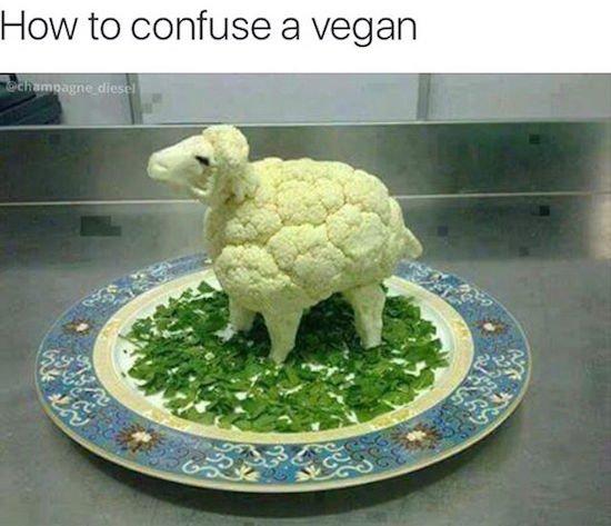 VeganererschreckenodereinenCarnivor