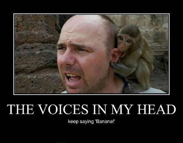 Voices