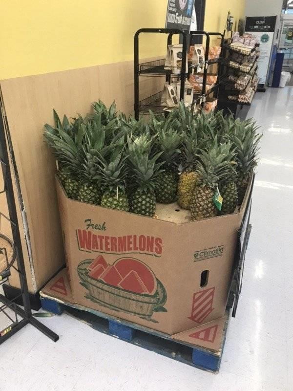 Wassermelonen