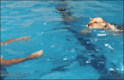 Wassern