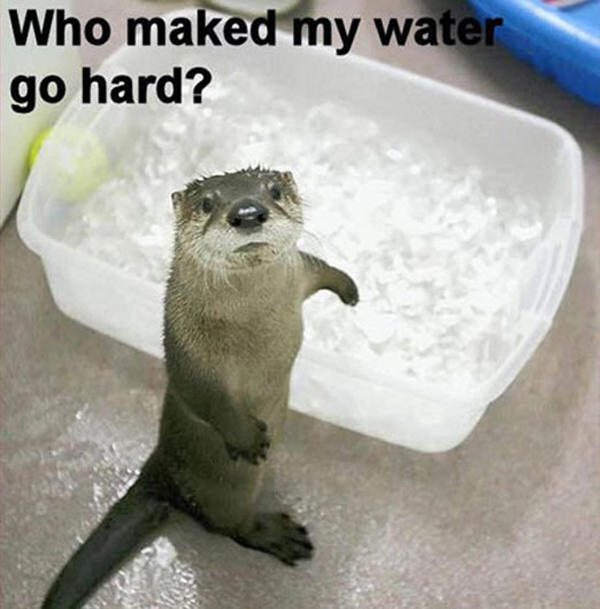 Who