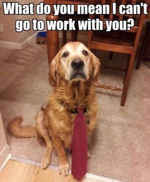 Worktogether
