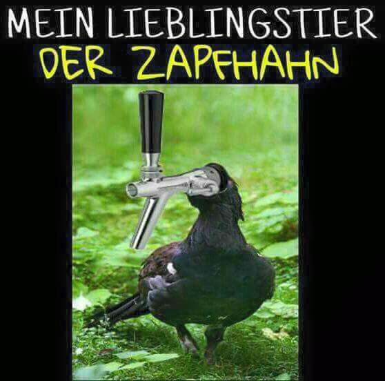 Zapfhahn