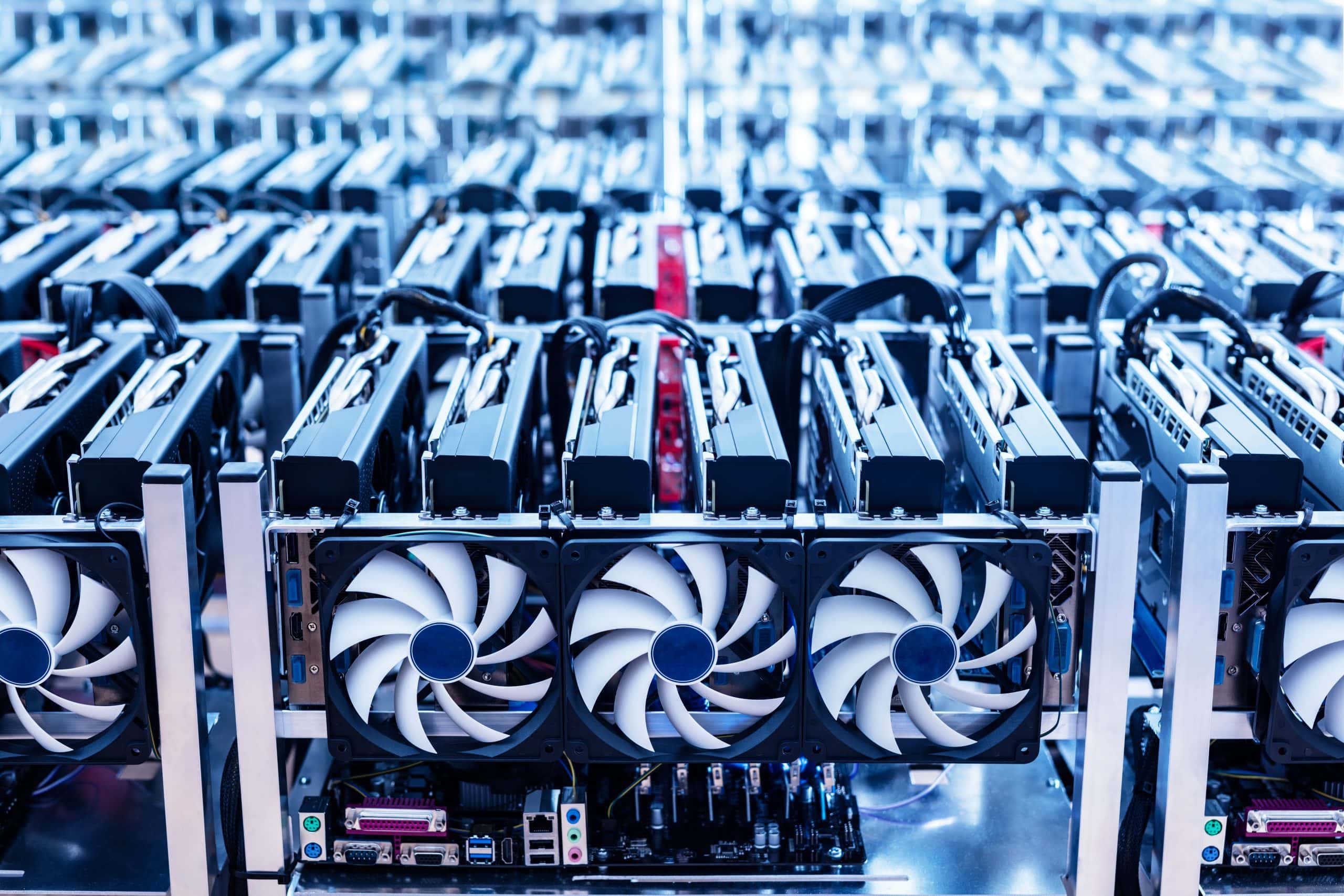 www.btc-echo.de