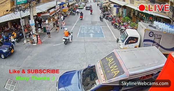 www.skylinewebcams.com