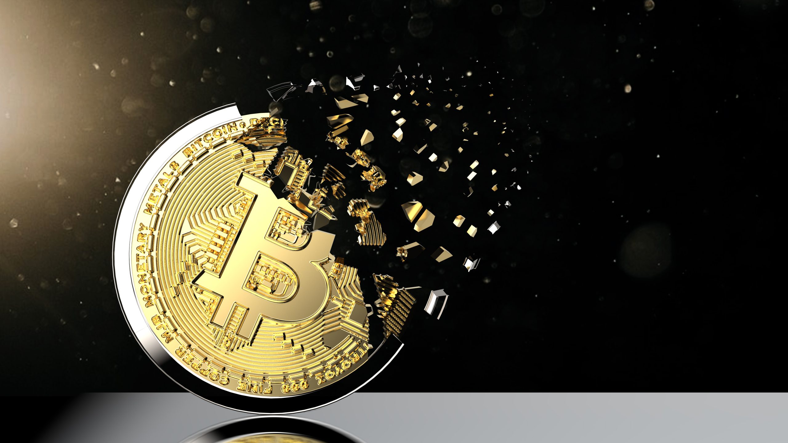 www.btc-echo.de