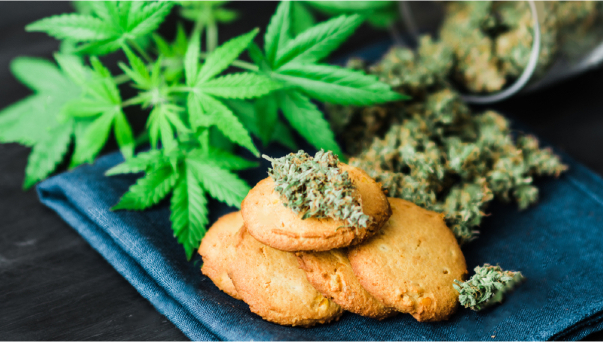 2fast4buds.com