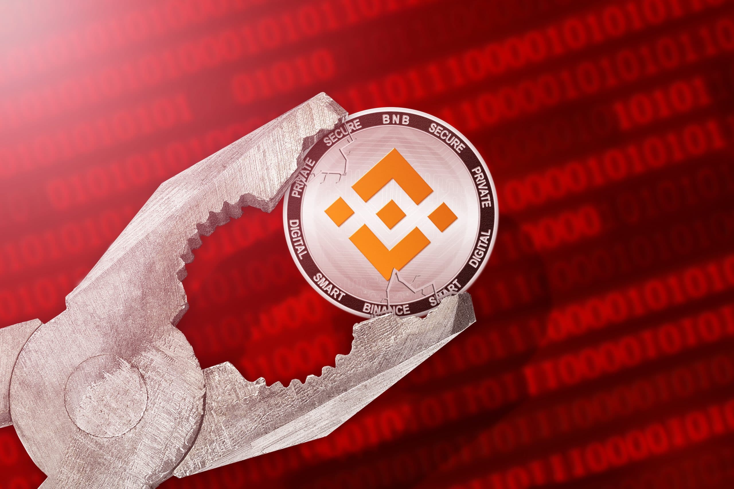 www.btc-echo.de
