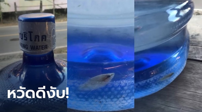 thairesidents.com